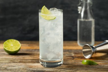 Soğuk Tekila Çiftlik Suyu Limonlu Kokteyl