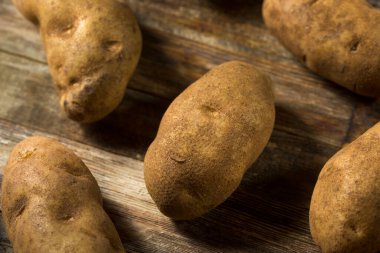 Çiğ Doğmuş Organik Russet Patatesleri Pişirmeye Hazır