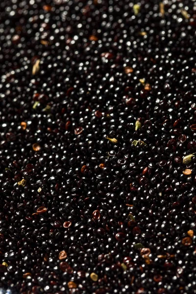 Grano Amaranto Orgánico Negro Crudo Tazón — Foto de Stock