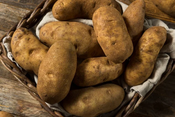 Patatas Russet Orgánicas Crudas Listas Para Cocinar — Foto de Stock