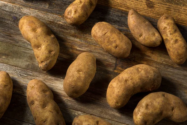 Patatas Russet Orgánicas Crudas Listas Para Cocinar — Foto de Stock