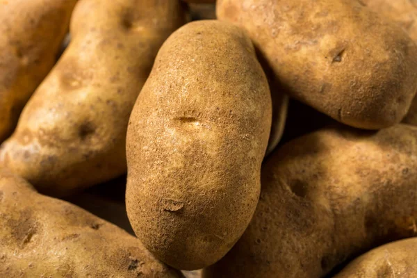 Raw Borwn Organic Russet Potatoes Ready Cook — Stock Photo, Image