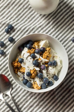 Sağlıklı ev yapımı Ricotta peynirli yoğurt kasesi. Meyve ve ve tahıllı.