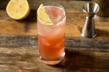 Limonlu Soğuk Sloe Cin Fizz Kokteyli