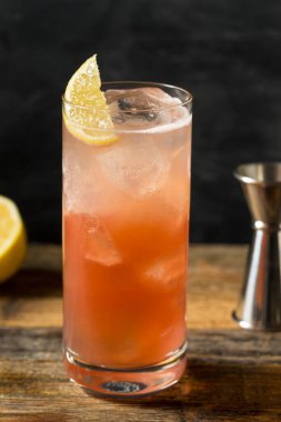 Limonlu Soğuk Sloe Cin Fizz Kokteyli