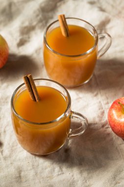 Elma suyunu Tarçın Çubuğuyla Tazeleyen Organik Ilık Elma Suyu