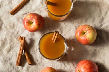 Elma suyunu Tarçın Çubuğuyla Tazeleyen Organik Ilık Elma Suyu