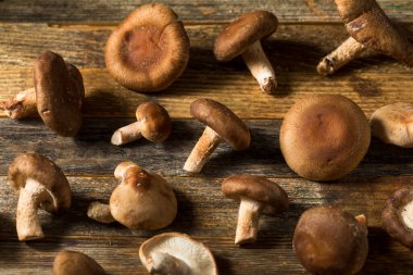 Çiğ organik Shiitake Mantarları Pişirmeye Hazır