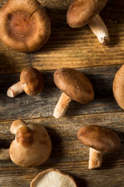 Çiğ organik Shiitake Mantarları Pişirmeye Hazır