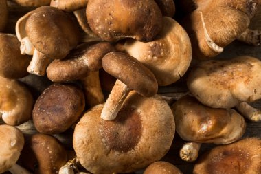 Çiğ organik Shiitake Mantarları Pişirmeye Hazır