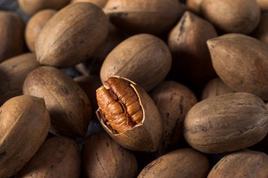 Kase içinde çiğ organik fındık.