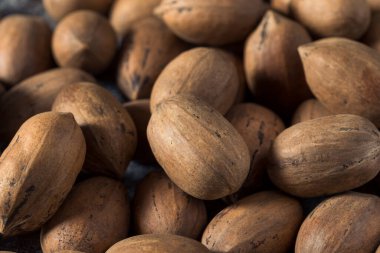 Kase içinde çiğ organik fındık.