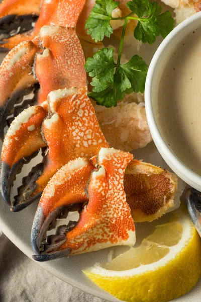 Homemade Steamed Stone Crab Claws Dipping Sauce — Stock Photo, Image