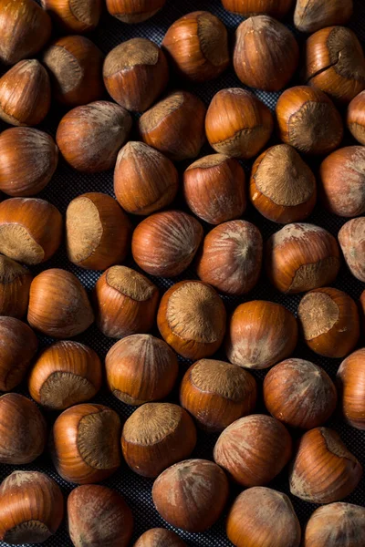 Avellanas Crudas Orgánicas Sin Cáscara Tazón —  Fotos de Stock