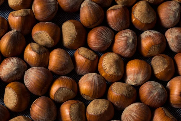 Raw Organic Unshelled Hazelnuts Bowl — Stock Photo, Image