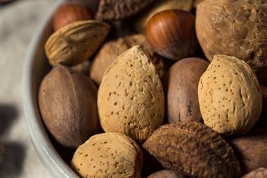 Çiğ kahverengi organik fındık ve ceviz ve badem karışımı.