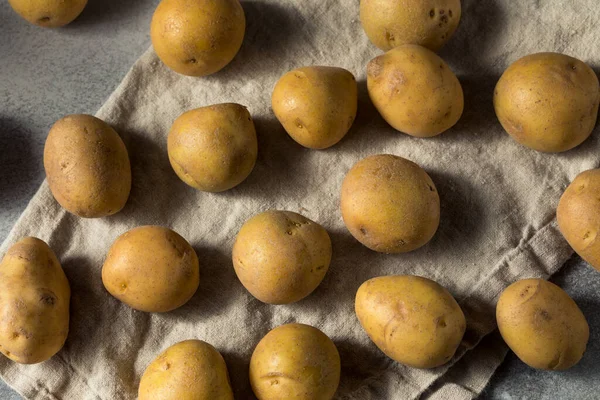 Raw Organic Yellow Potatoes Ready Cook — Stock Photo, Image