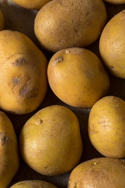 Surowe Organiczne Ziemniaki Żółte Gotowe Gotowania — Zdjęcie stockowe
