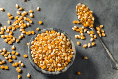 Çiğ organik sarı patlamış mısır kasesi.