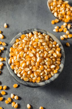 Çiğ organik sarı patlamış mısır kasesi.