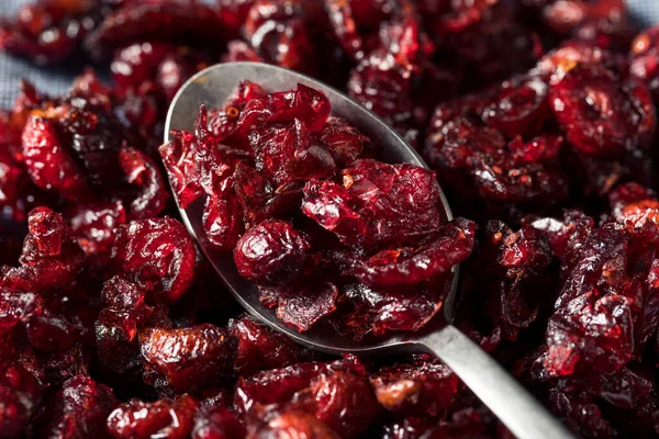 Cranberries Secas Orgânicas Saudáveis Uma Tigela — Fotografia de Stock