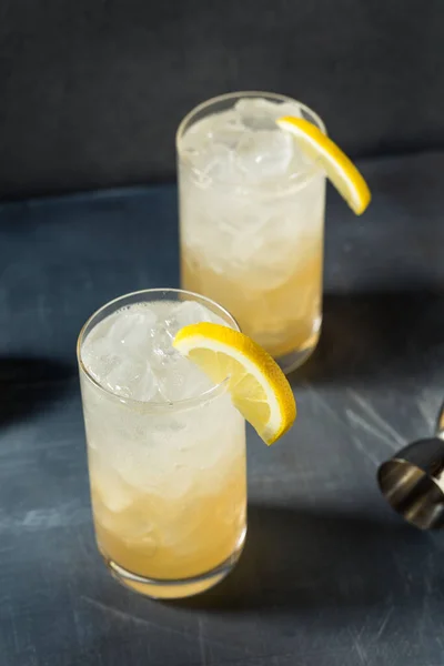 Boozy Erfrischung Lemon Rum Collins Mit Sodawasser — Stockfoto