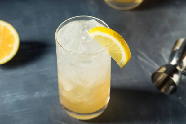 Rum Limone Rinfrescante Alcolico Collins Con Acqua Gassata — Foto Stock