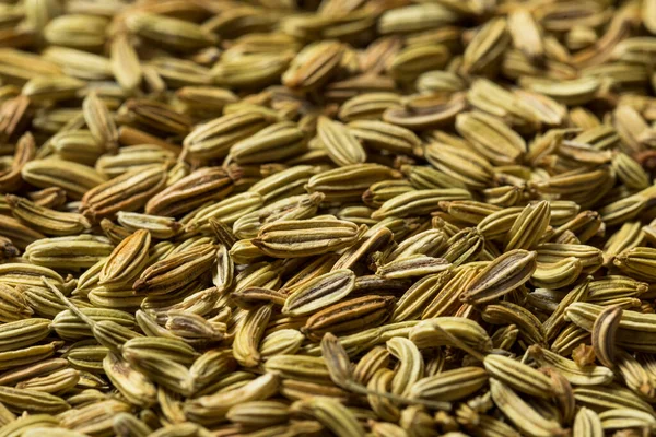 Homemade Raw Fennel Seeds Bowl — Stock Photo, Image