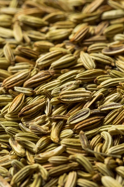 Homemade Raw Fennel Seeds Bowl — Stock Photo, Image