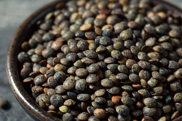 Raw Black Organic Lentils Bowl — Stock Photo, Image