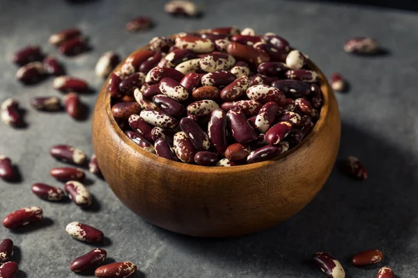 Raw Red Organic Craft Kidney Beans Bowl — стоковое фото