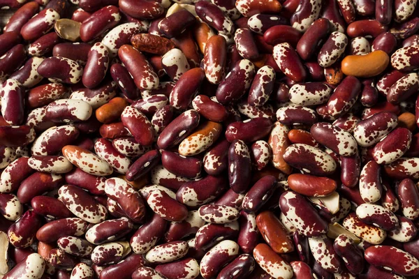 Rim Gado Orgânico Vermelho Cru Feijão Uma Tigela — Fotografia de Stock