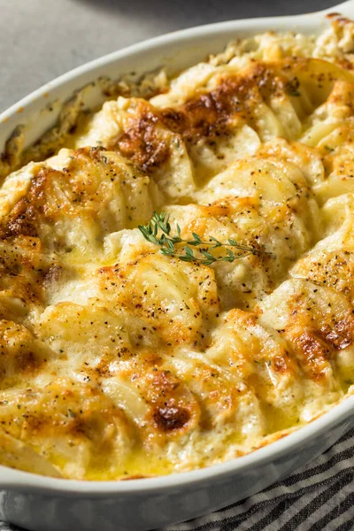 Homemade Creamy Scalloped Potatoes Cheese Spices — Foto Stock