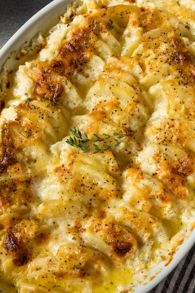 Homemade Creamy Scalloped Potatoes Cheese Spices — Stock Photo, Image