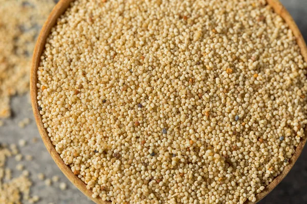 Biologische Droge Witte Quinoa Korrel Een Schaal — Stockfoto