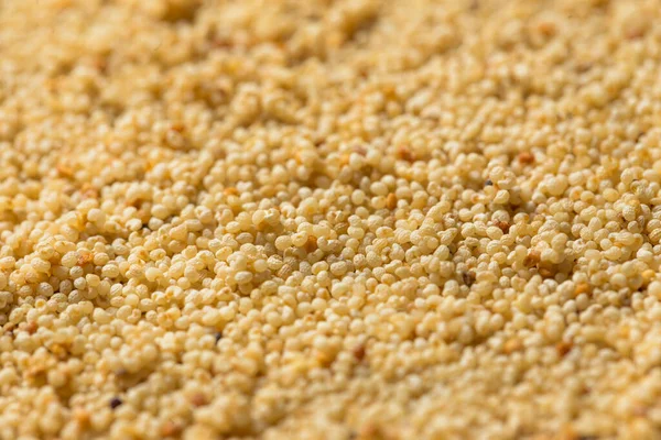Organic Dry White Quinoa Grain Bowl — Stock Photo, Image
