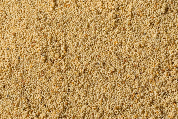 Organikus Száraz Fehér Quinoa Gabona Egy Tálban — Stock Fotó