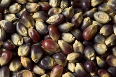 Çiğ Organik Mor Patlamış Mısır Kasesi