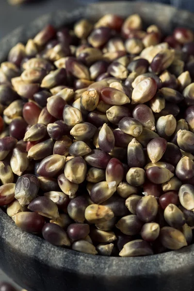 Torr Ekologisk Lila Popcorn Skål — Stockfoto