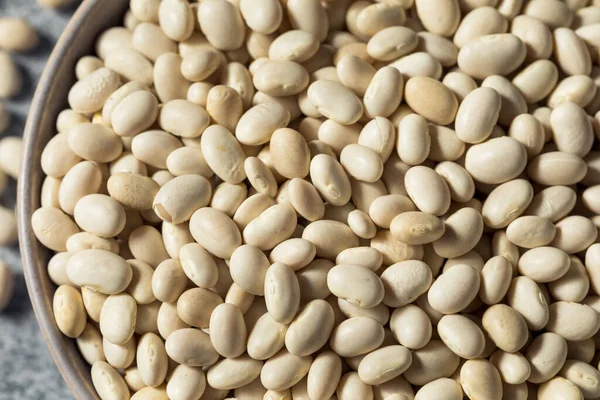 Healthy Organic Dry White Beans Bowl — Stock Photo, Image