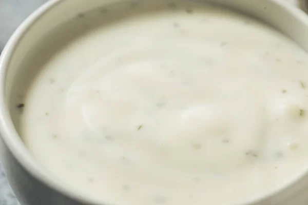 Homemade Organic Ranch Dressing Bowl — Stock Photo, Image