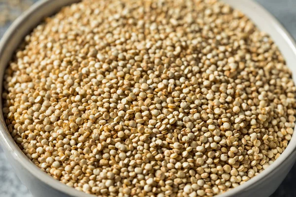 ボウルに生の有機白キノア穀物 — ストック写真