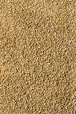 Kase içinde çiğ organik beyaz kinoa taneciği