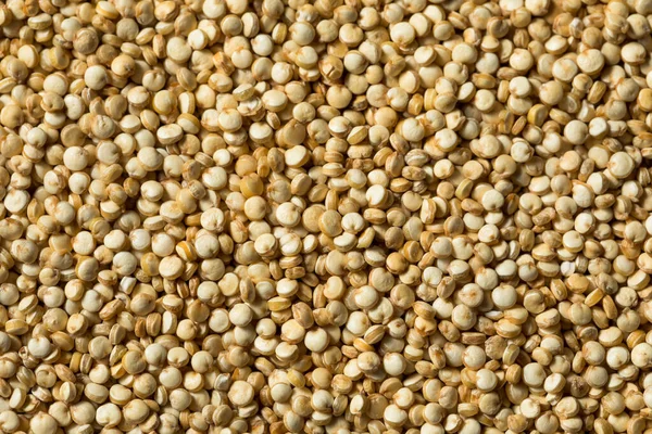 Raw Organic White Quinoa Grain Skål — Stockfoto