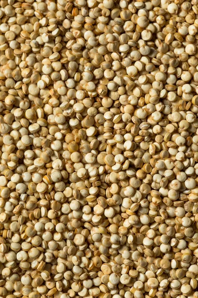 Rohes Weißes Bio Quinoa Korn Einer Schüssel — Stockfoto