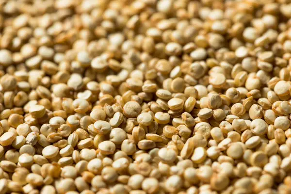 Raw Organic White Quinoa Grain Skål — Stockfoto