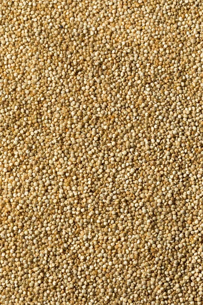 Raw Organic White Quinoa Grain Een Kom — Stockfoto