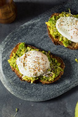 Haşlanmış yumurta ve filizli ev yapımı Avokado tostu.