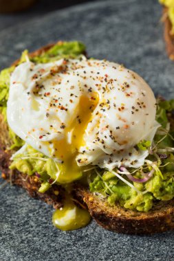 Haşlanmış yumurta ve filizli ev yapımı Avokado tostu.