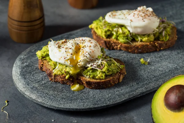 Hausgemachter Gesunder Avocado Toast Mit Pochiertem Und Sprossen — Stockfoto